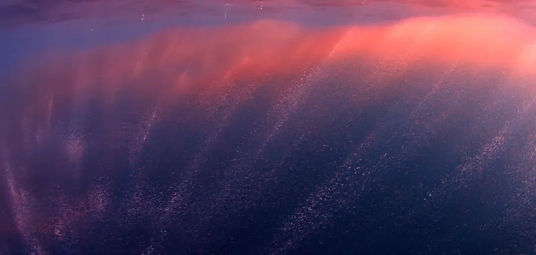 Antarctic-Krill-Sustainability-Whitepaper