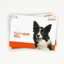 Brochure - How to speak krill - Mockup