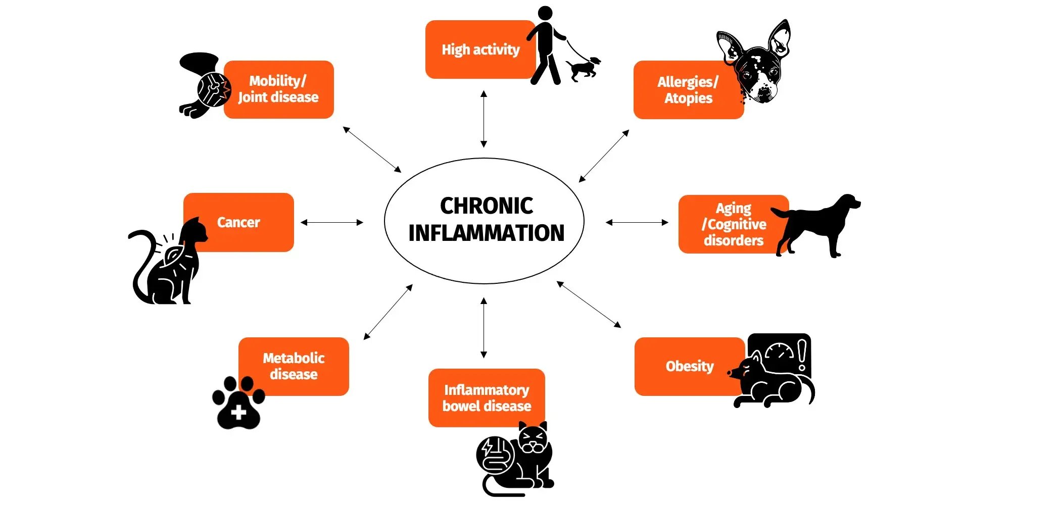 Chronic-inflammatory-conditions