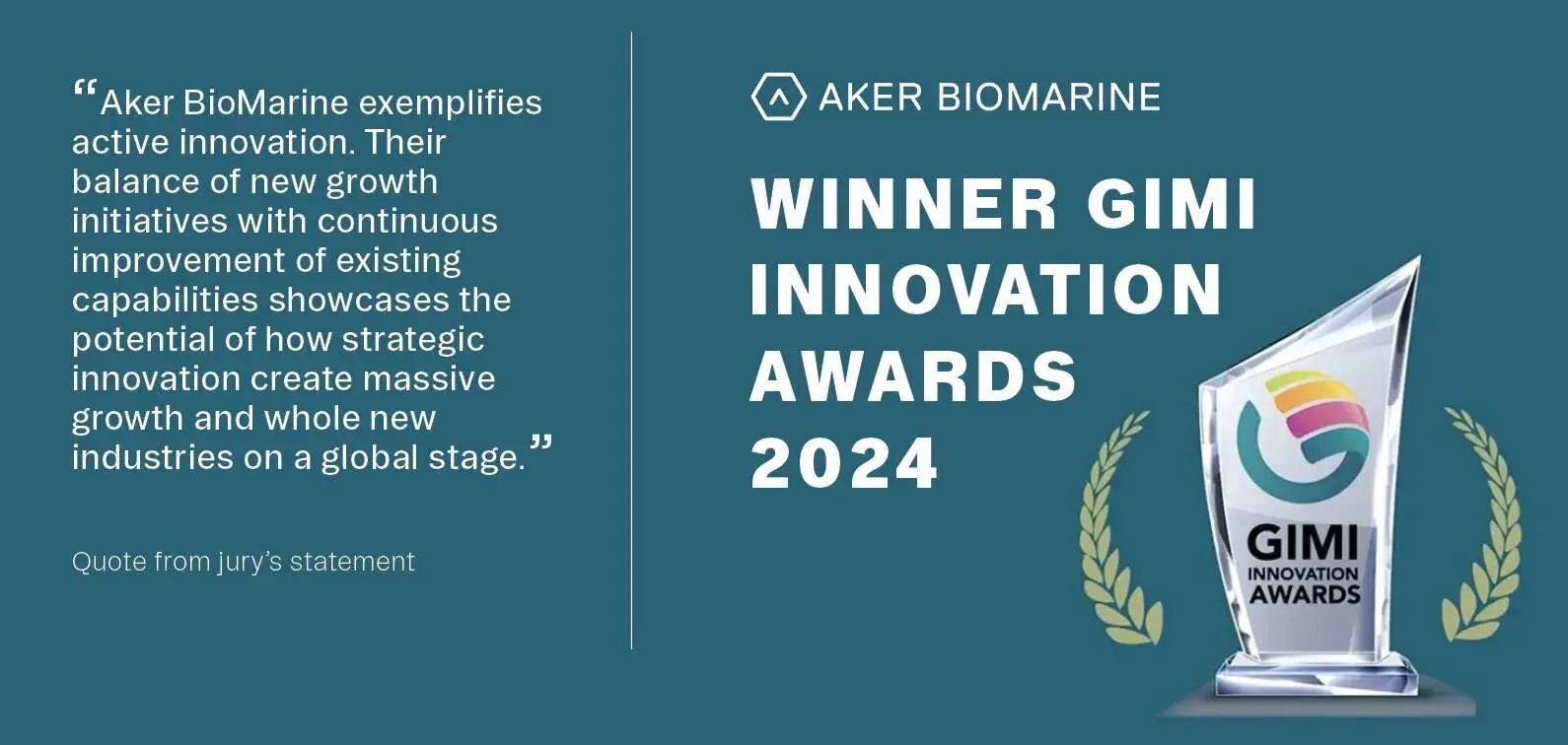 GIMI innovation awards (1)