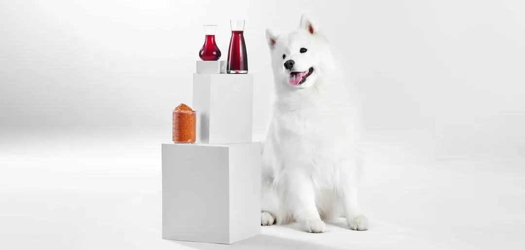 Krill--The-Hero-Ingredient-in-Pet-Food