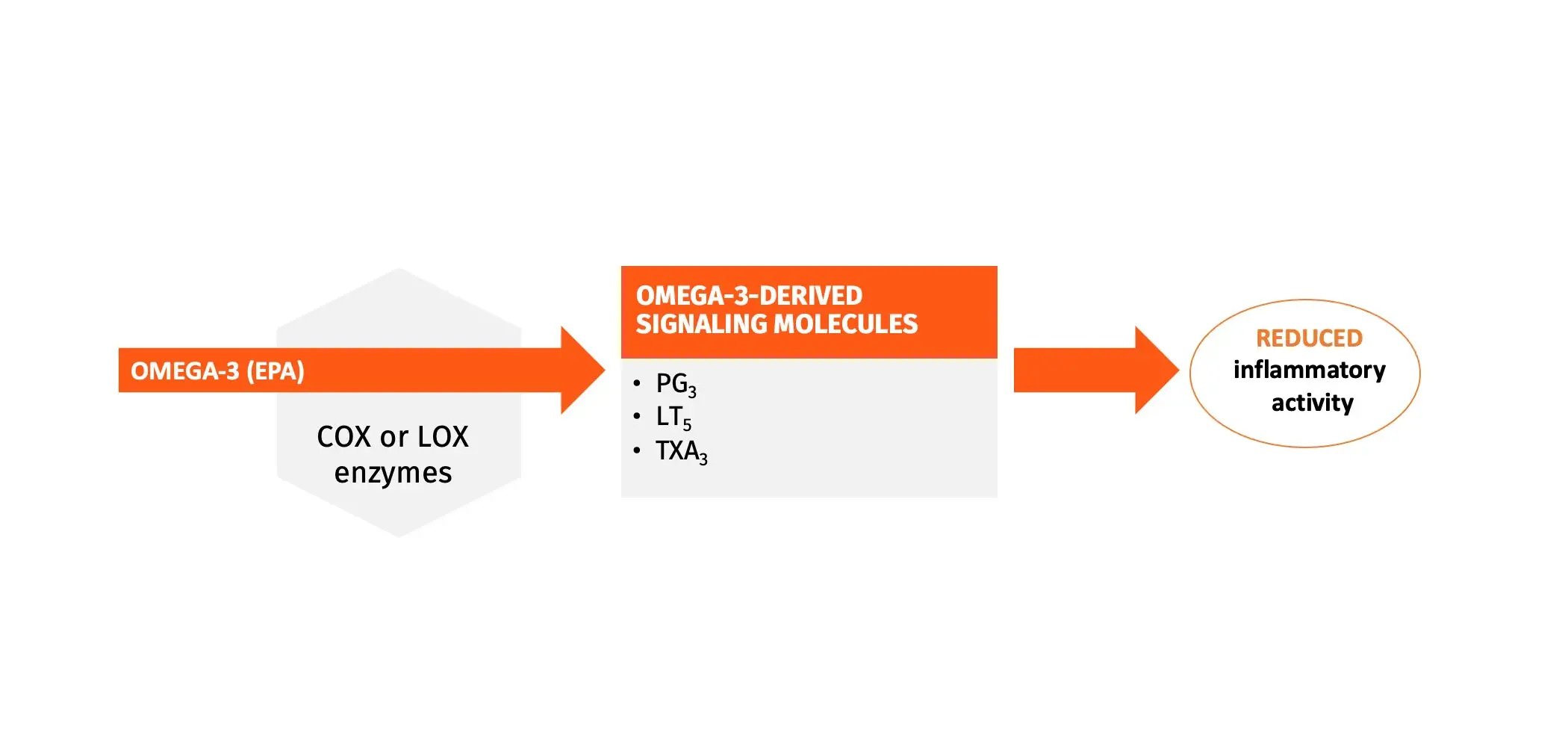 Marine-omega-3-fatty-acids-can-reduce-inflammation