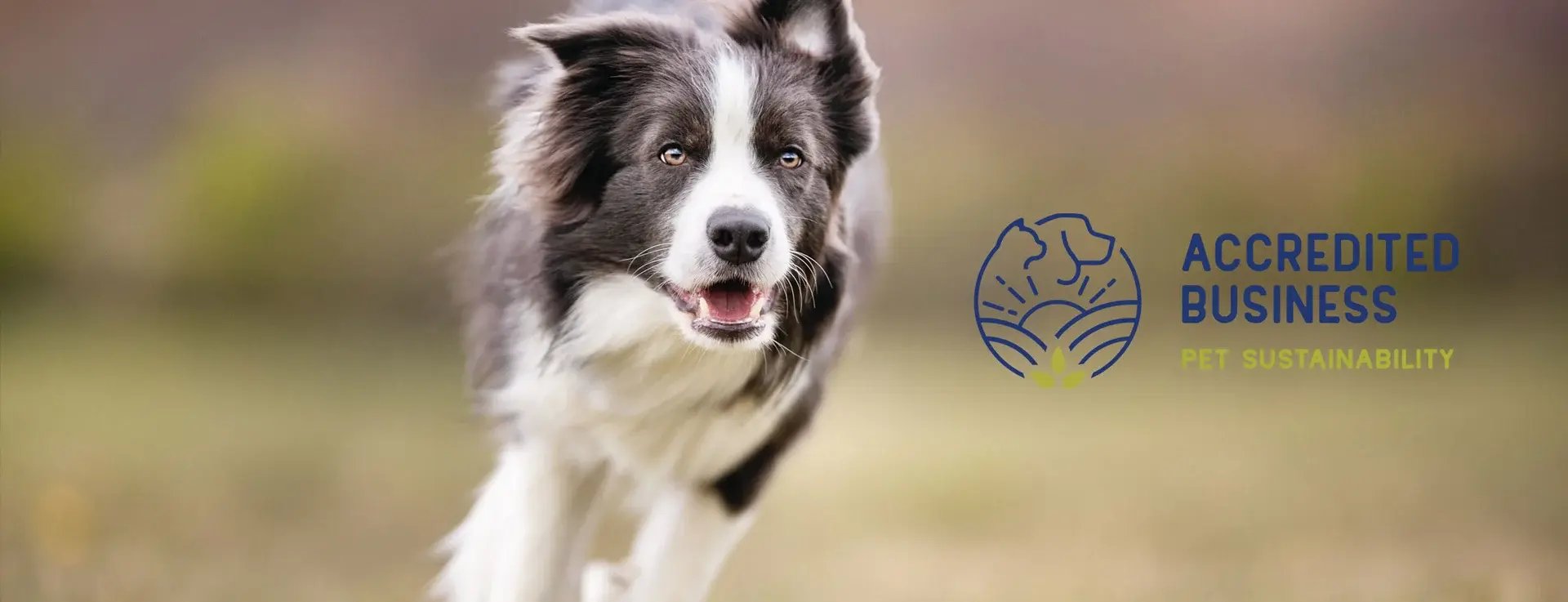 QRILLPet-is-PSC-Accredited