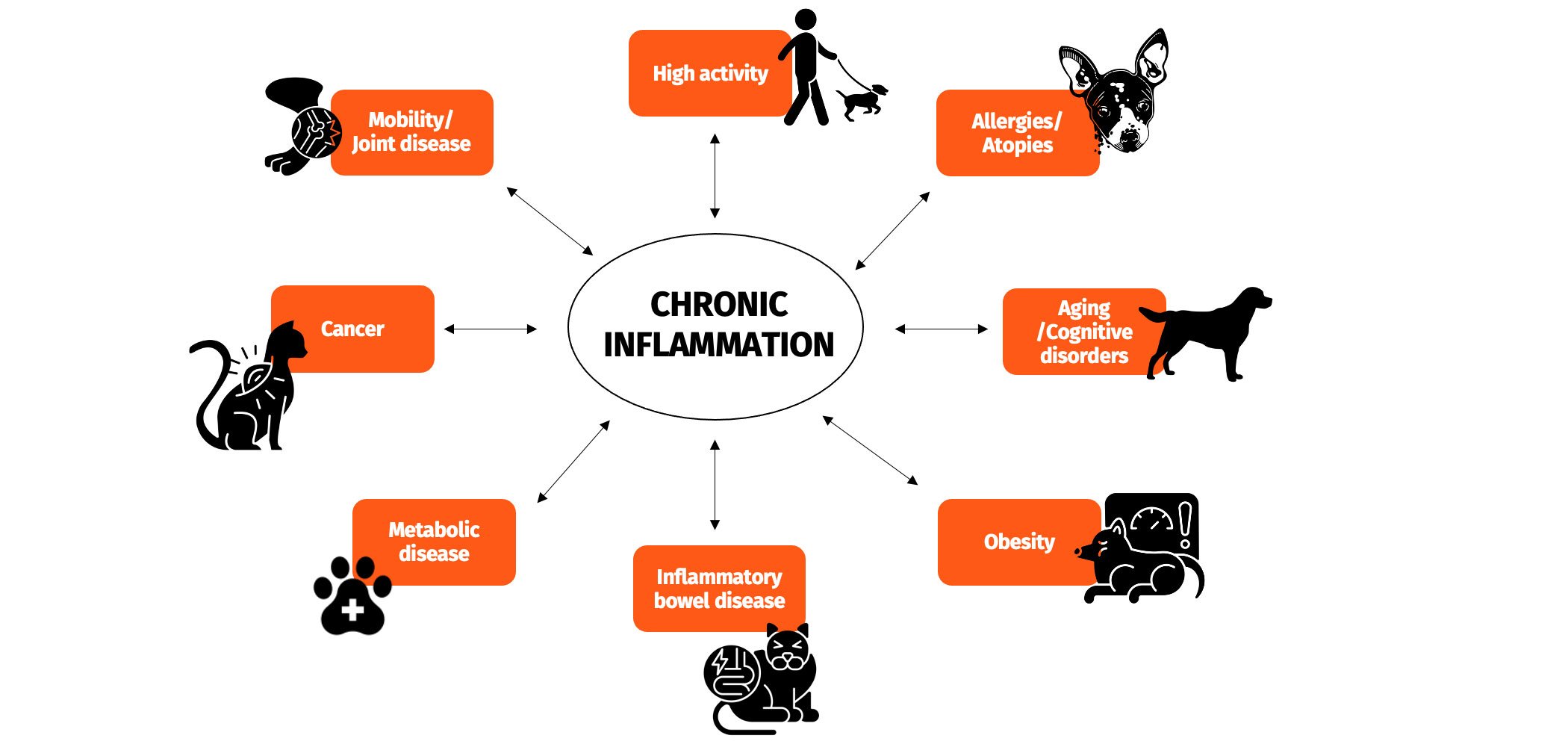 Chronic inflammatory conditions