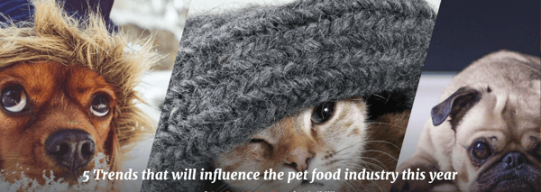 QRILL Pet_Pictures_Blog_Pictures_5 Trends that will influence the pet food industry this year