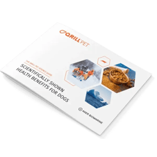 Research - Science booklet - Mockup