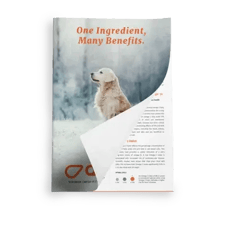 Whitepaper - One ingredient, many benefits - Mockup-1