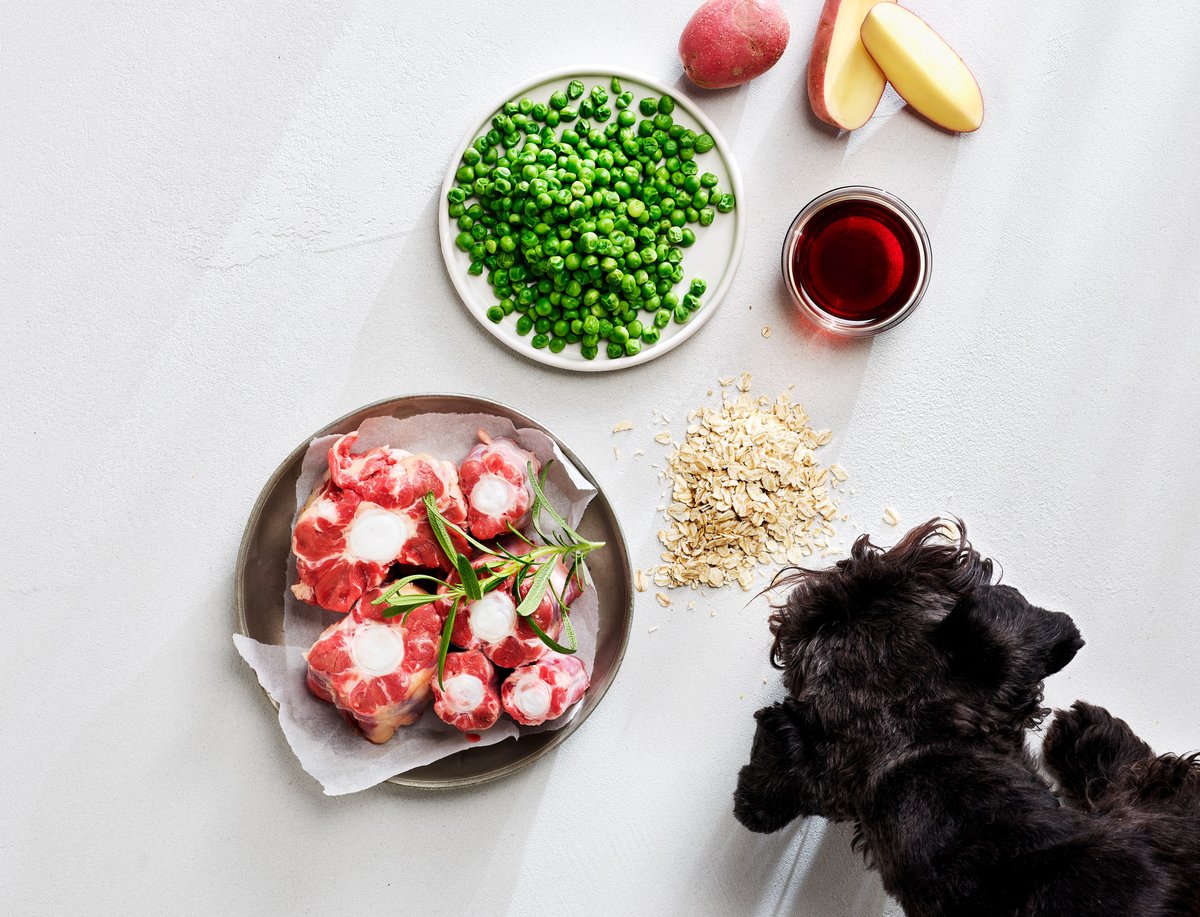 pet food ingredients and krill oil