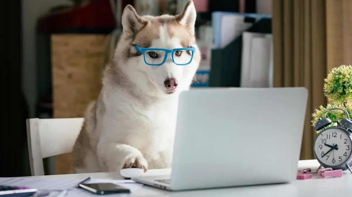 shutterstock_1966715779
