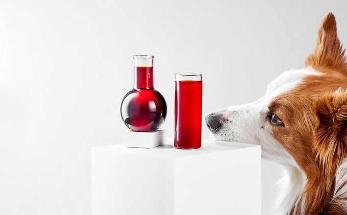 Krill Oil for Dogs
