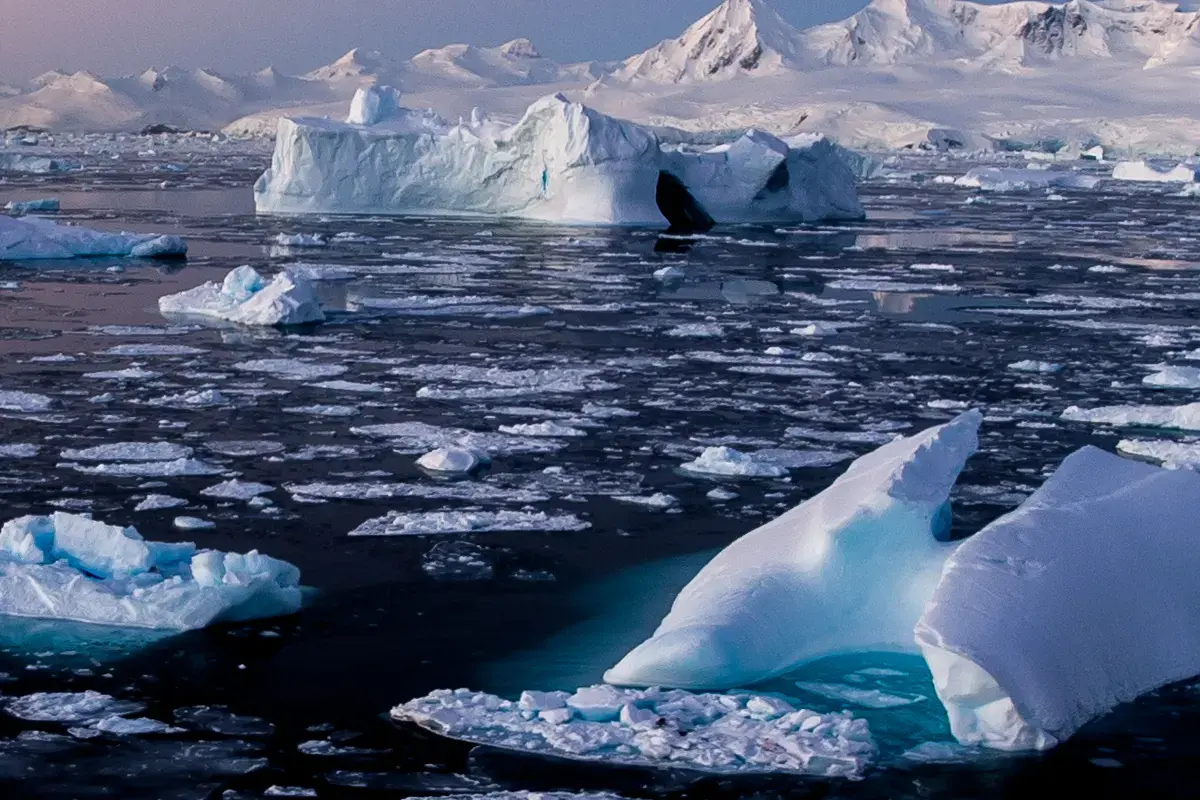 Antarctica_Columns_QP (1)