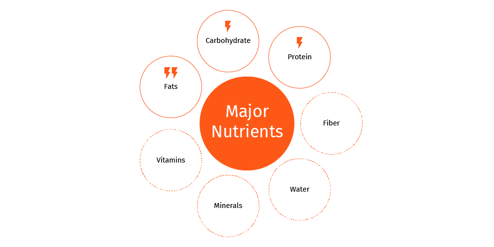 MAJOR_NUTRIENTS_DOGS