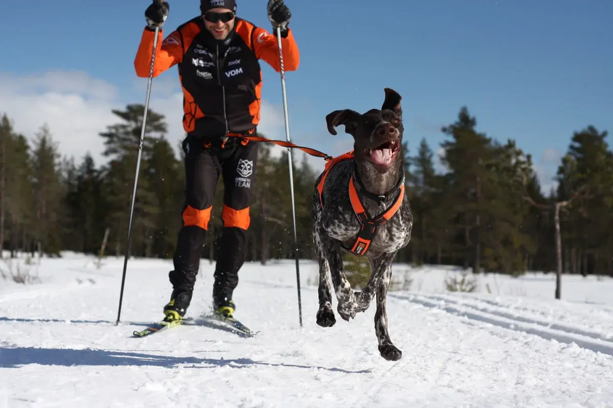 QP-Sport-Team-Yngve