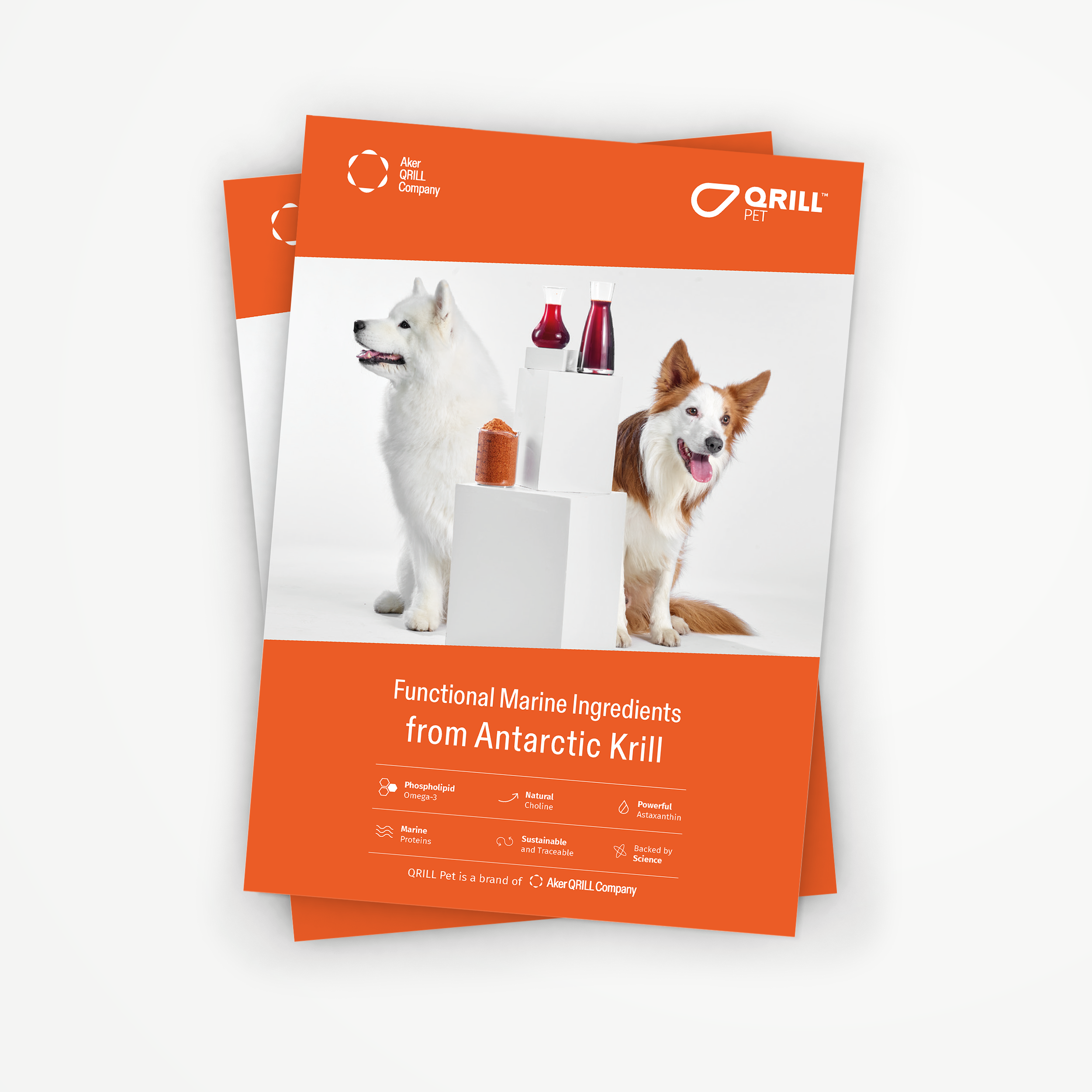 QP_Qrill_Pet_All_Products_Brochure_Update