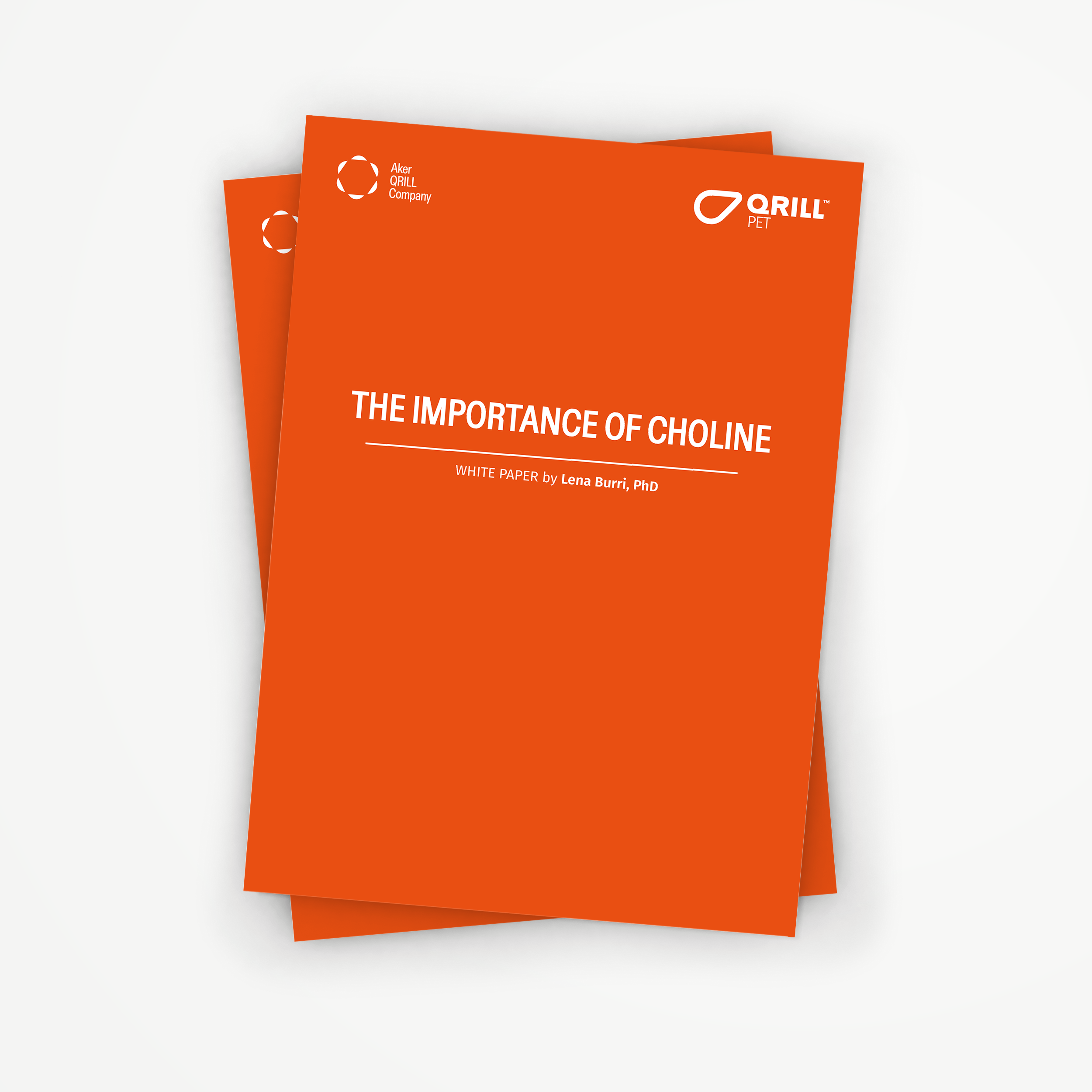 QP_The_Importance_of_Choline_Whitepaper