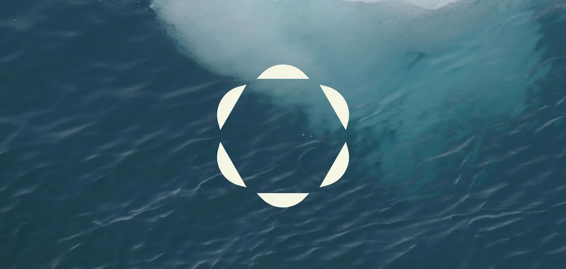 2024 The Year That Reshaped Our World