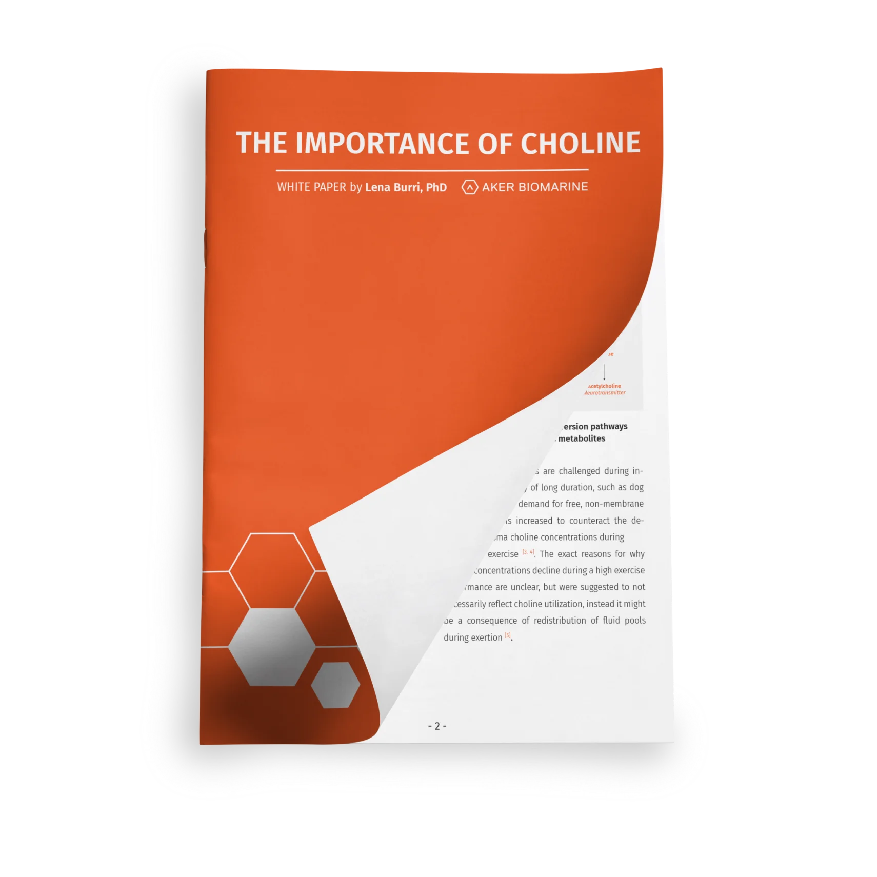 The importance of choline Whitepaper
