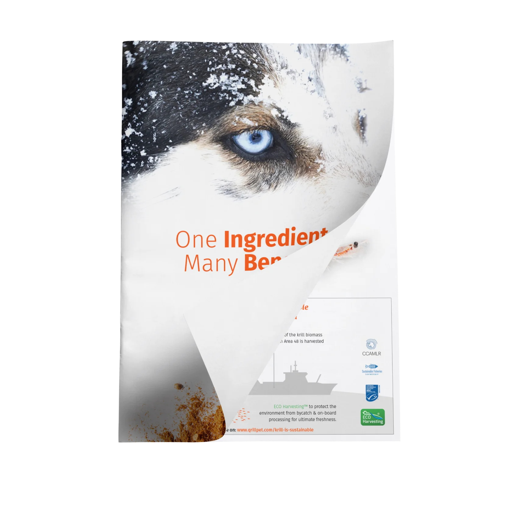 QRILL Pet Brochure - One ingredient, many benefits 