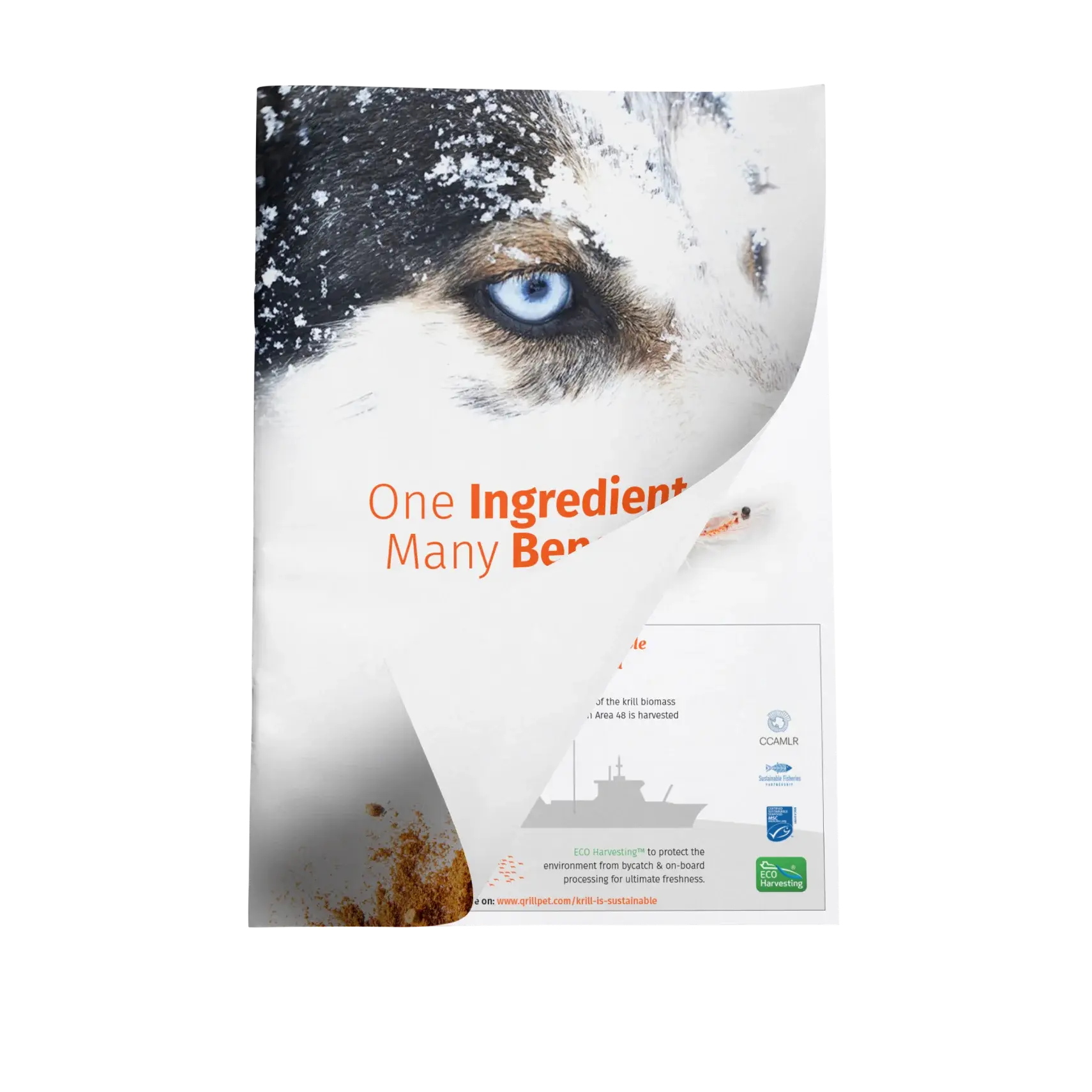 Whitepaper - One ingredient, many benefits - Mockup