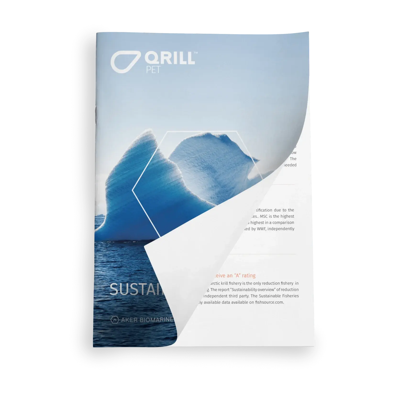 Whitepaper - Sustainability - Mockup