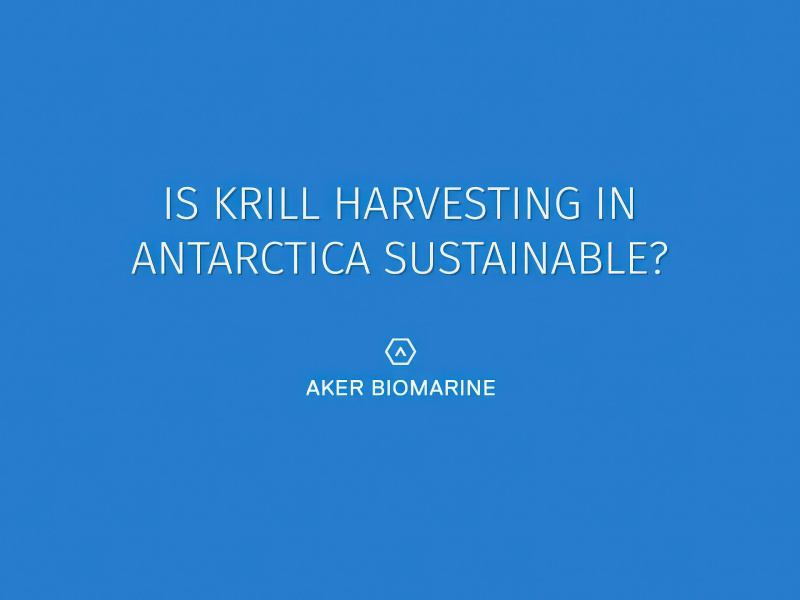 is-qrill-pet-a-sustainable-marine-6-thumbnail