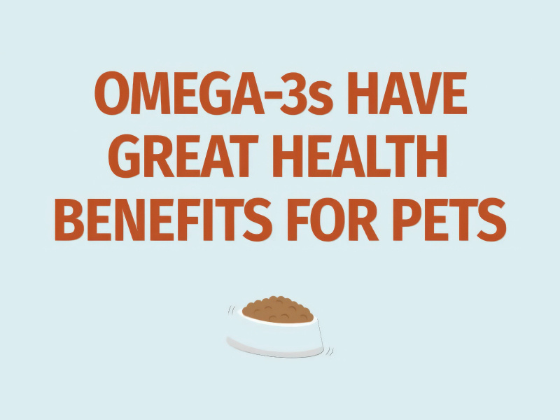 qrill-pet-in-60-seconds-1-thumbnail